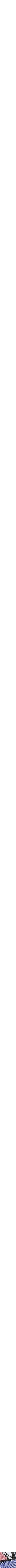 Assorti