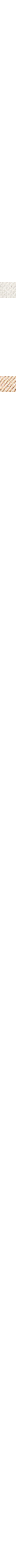 Blanc et noir