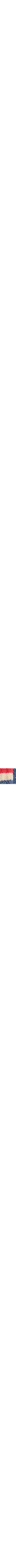 Patterned Blue