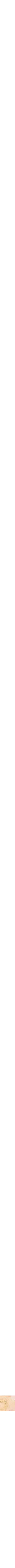 Orange à motifs