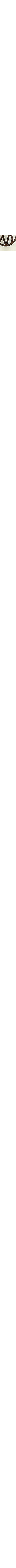 Patterned Ecru