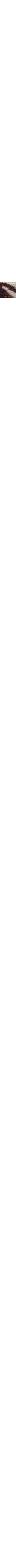 Blanc et noir
