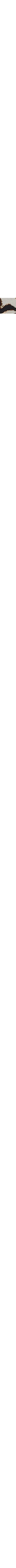Blanc à motifs