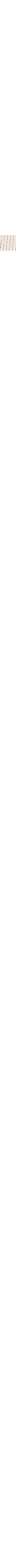 Patterned Ecru