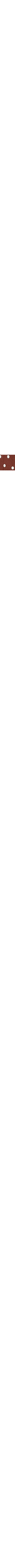 Brun à motifs