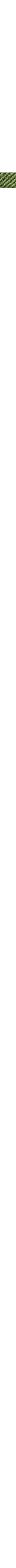 Blanc cassé