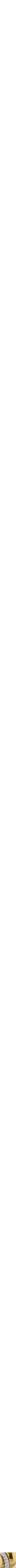 Assorti