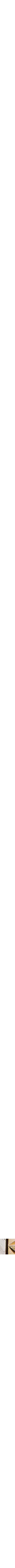 Doré et argenté
