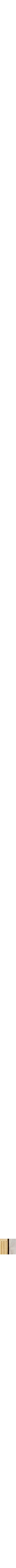 Doré et argenté