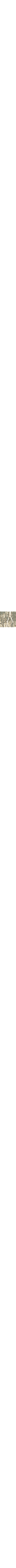 Vert à motifs