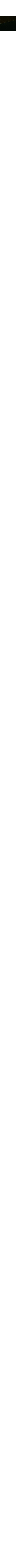Black Amber