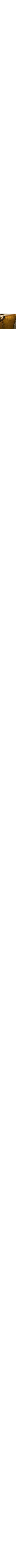 Bourbon Vanilla
