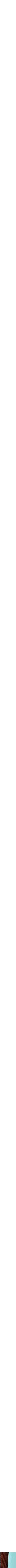 Assorti