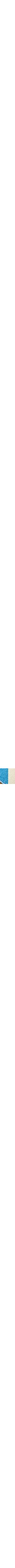 Bleu à motifs