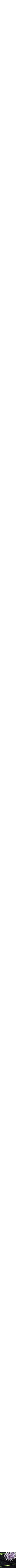 Assorti