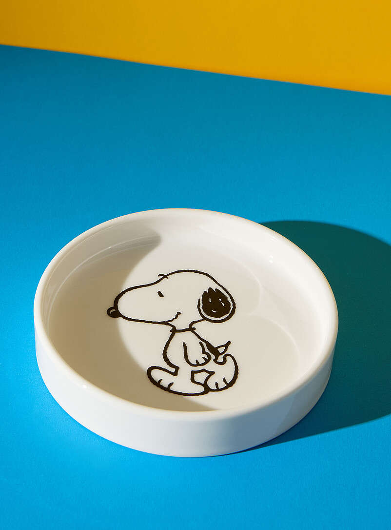 Peanuts Walk small tray product image (primary)