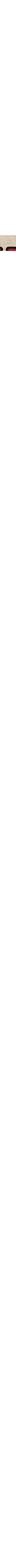 Écru à motifs