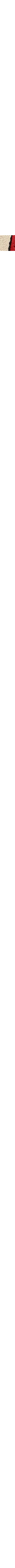 Écru à motifs
