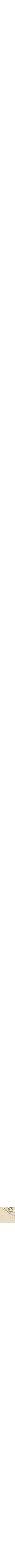 Assorti