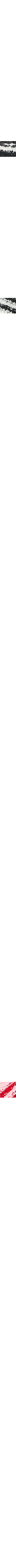 Noir à motifs