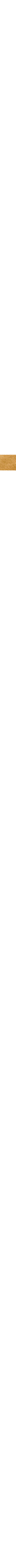 Brun à motifs