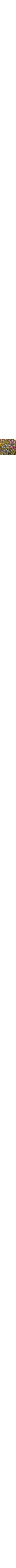 Cuivre - Rouille