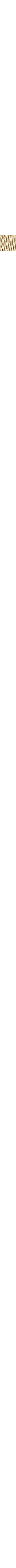 Écru à motifs