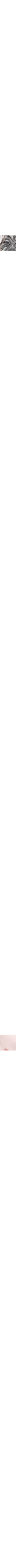 Patterned Ecru