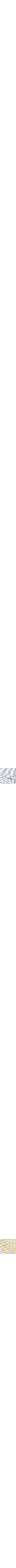 Patterned Blue