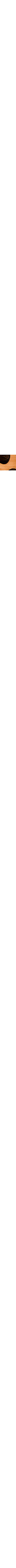 Brun à motifs