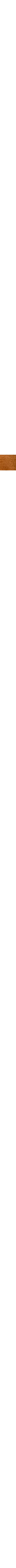 Brun à motifs