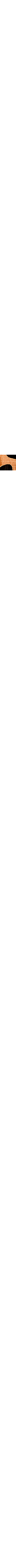 Léopard