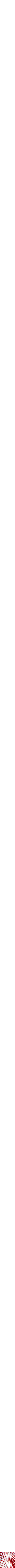 Assorted
