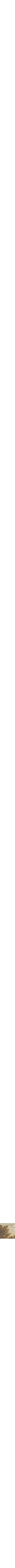 Assorti