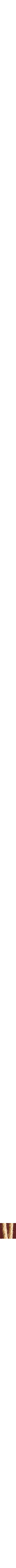 Assorti