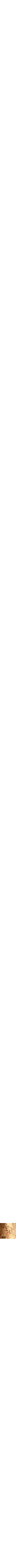 Doré