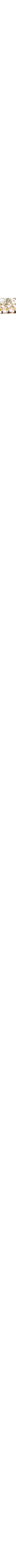Blanc à motifs