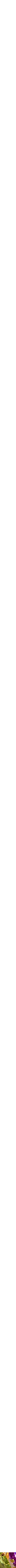 Assorti