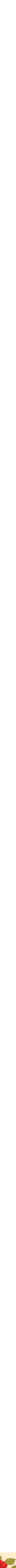 Patterned Cream