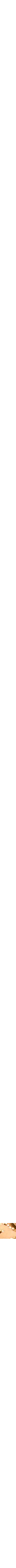 Doré