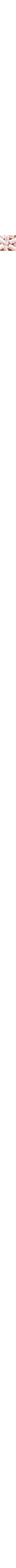 Patterned Ecru