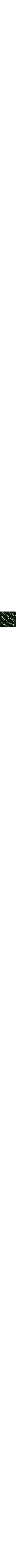 Vert à motifs