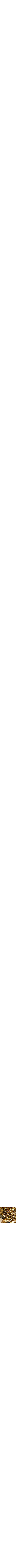 Doré