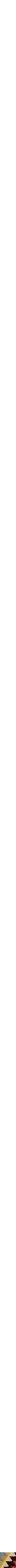 Assorti