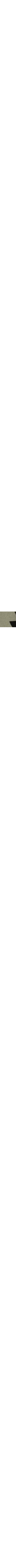 Vert à motifs