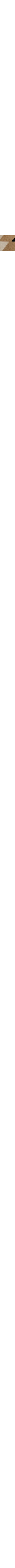 Écru à motifs