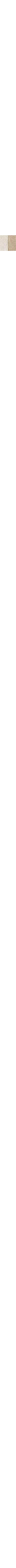 Écru à motifs