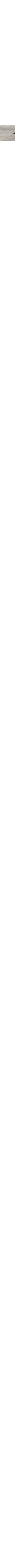 Gris à motifs