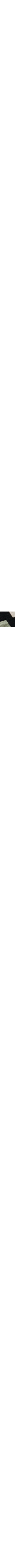 Vert à motifs