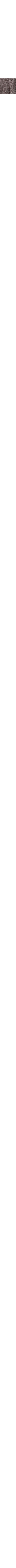 Slate Grey